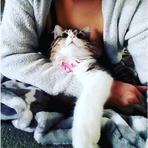 Meet your Posher, Elizabeth - Picture 6 of 14